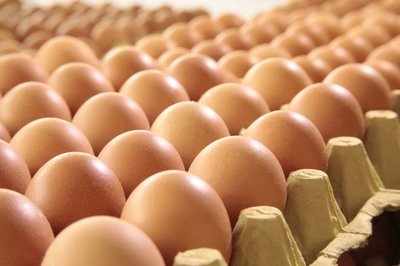 怀化鸡蛋检测价格,鸡蛋检测机构,鸡蛋检测项目,鸡蛋常规检测